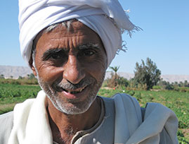 Egyptian Farmer