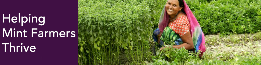 Indian mint woman farmer