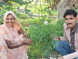 Indian man and women showing off crop