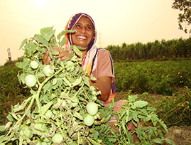 Indian man and women showing off crop