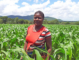 Zambia